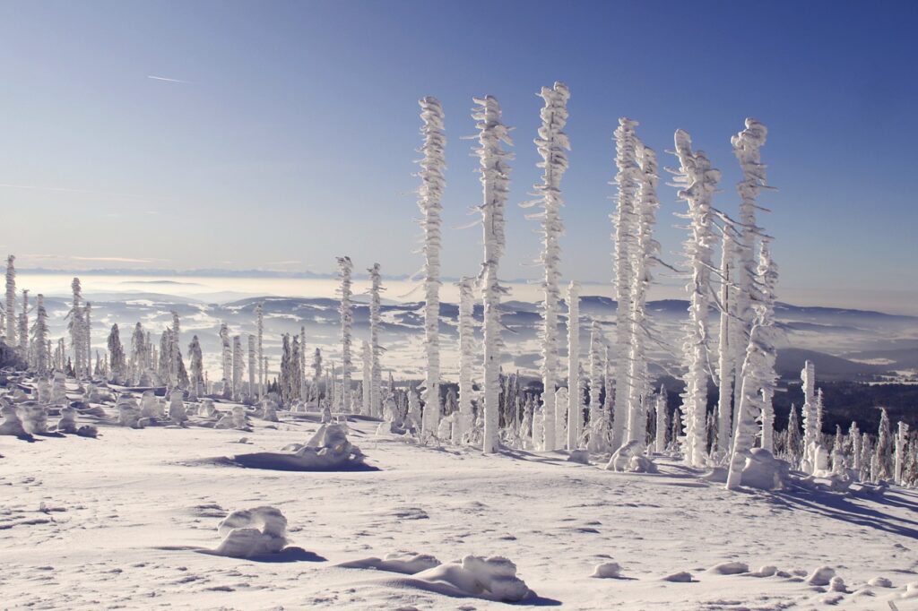 metsä talvi retkeily matkailu