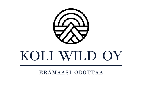 yhteystiedot matkailuyritys Kolilla