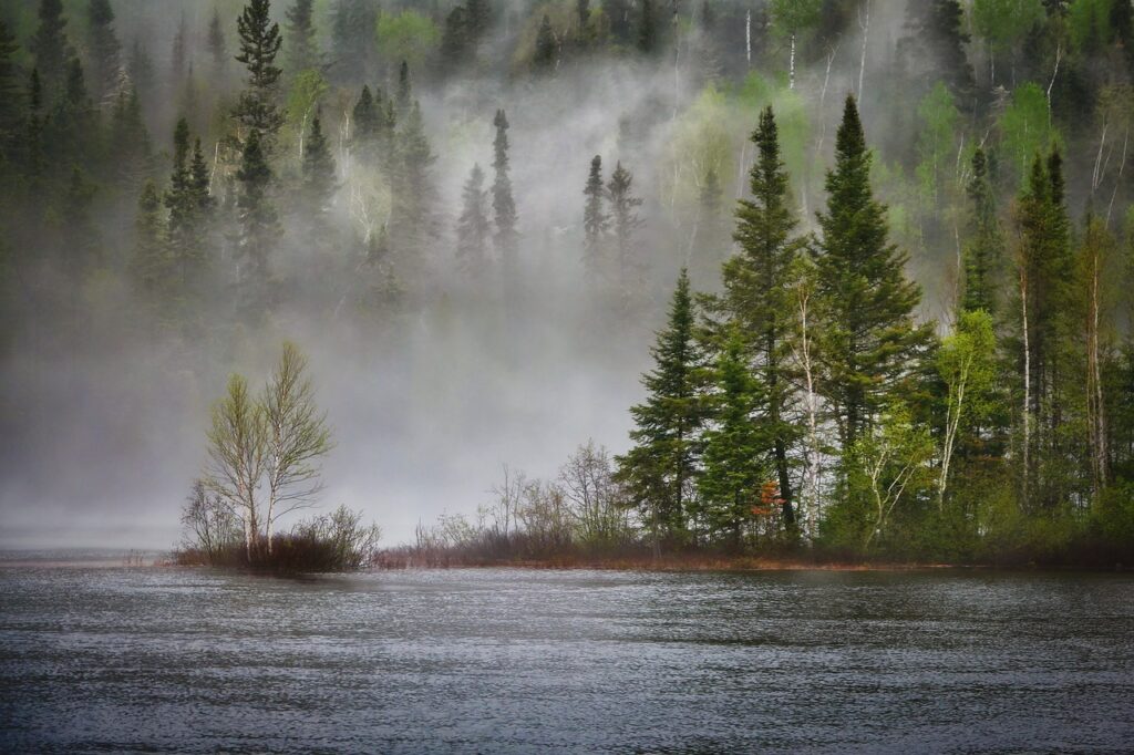 metsä järvi Koli