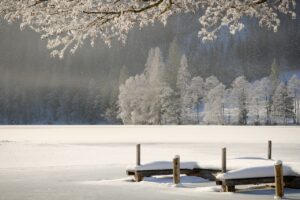 Read more about the article Luonnosta apua stressiin